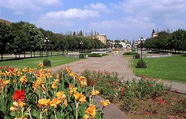 Кривий Ріг знищення комах
