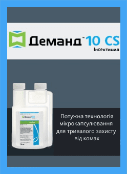 Додати заголовок (1)